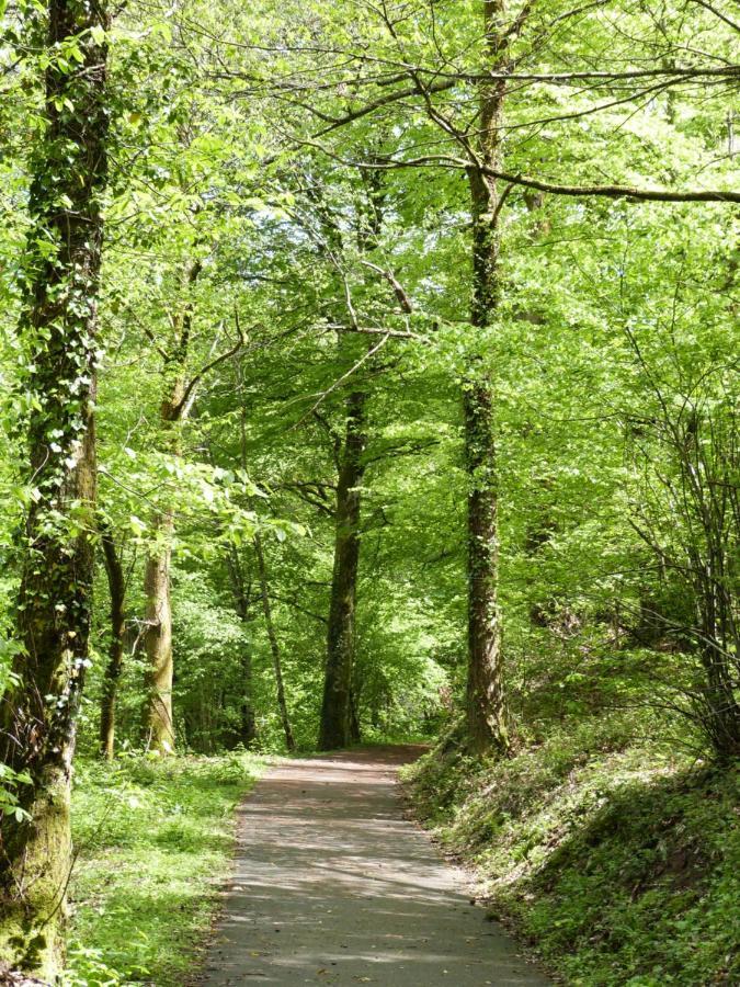 Domaine Des Hameaux Du Lac - Bg Saint-Pardoux-lʼOrtigier Dış mekan fotoğraf